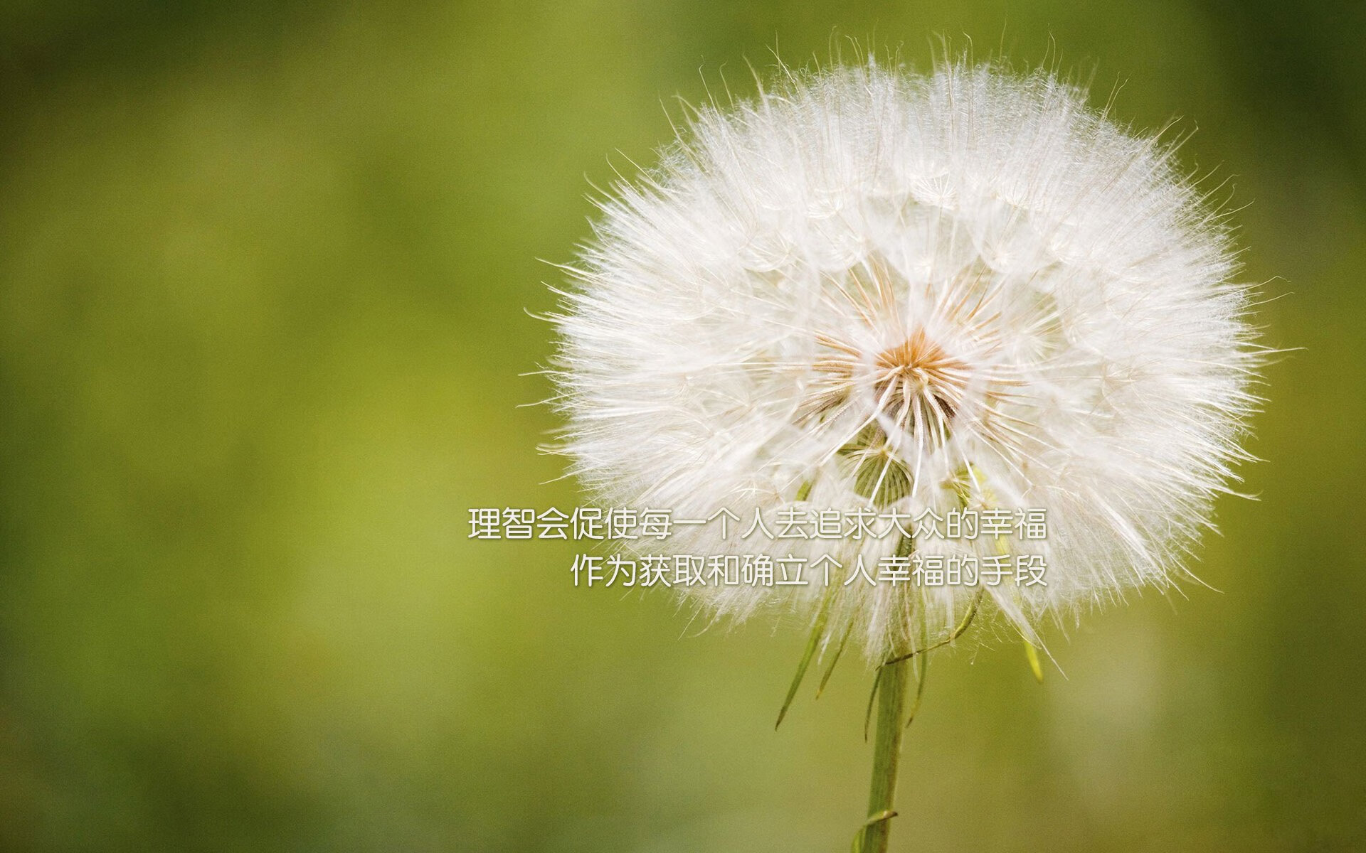 农业灌溉需要取水许可证吗为什么(农业灌溉要交水费吗?)